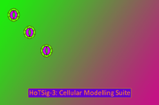 The HoTSig-3 Cellular Modelling Suite